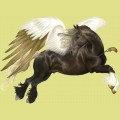 ♪ Quel cheval es-tu ? - Page 3 2300-miniature